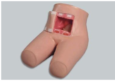 輔助排便、灌腸護(hù)理教學(xué)模型