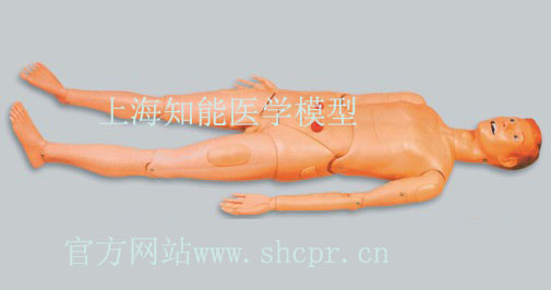 基礎(chǔ)護(hù)理人模型到底有哪些功能？