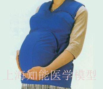 高級(jí)著裝式孕婦模型哪家好？