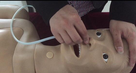 1494219929479873.jpg 插入鼻腔演示