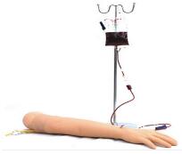 高級手臂靜脈穿刺及三角肌注射模型 高級手臂靜脈穿刺及三角肌注射模型