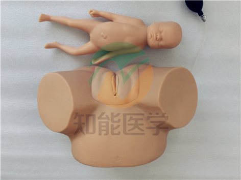 高級(jí)難產(chǎn)示教訓(xùn)練模型實(shí)拍圖 高級(jí)難產(chǎn)示教訓(xùn)練模型實(shí)拍圖