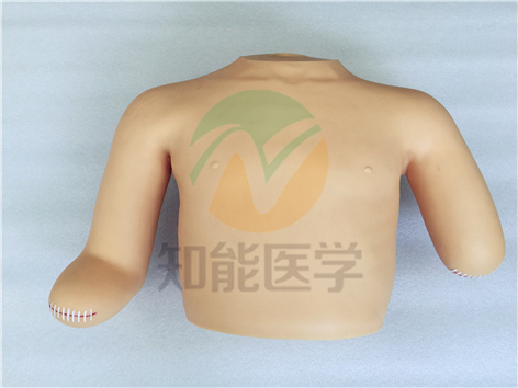 高級(jí)高位包扎模型實(shí)拍圖 高級(jí)高位包扎模型實(shí)拍圖