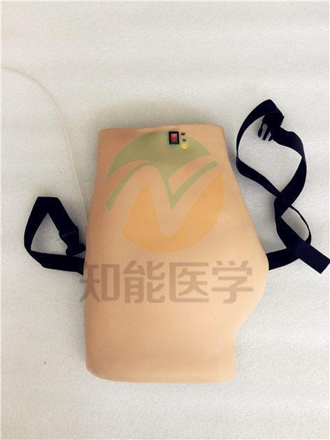 電子臀部注射訓(xùn)練模型圖 電子臀部注射訓(xùn)練模型圖