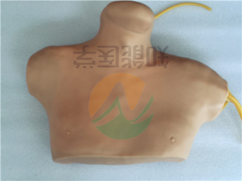 中心靜脈穿刺插管模型實(shí)拍圖 中心靜脈穿刺插管模型實(shí)拍圖