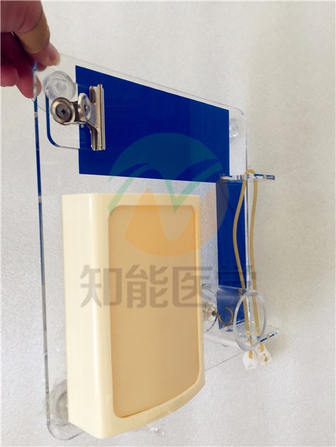 高級(jí)外科多技能訓(xùn)練模型 高級(jí)外科多技能訓(xùn)練模型