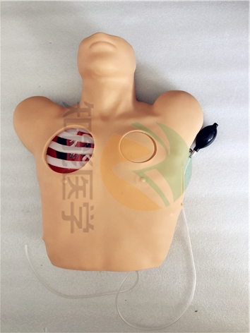胸腔穿刺引流模型實拍圖1 胸腔穿刺引流模型實拍圖1