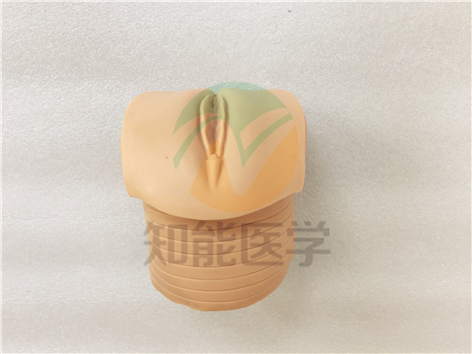 實(shí)拍圖2 實(shí)拍圖2