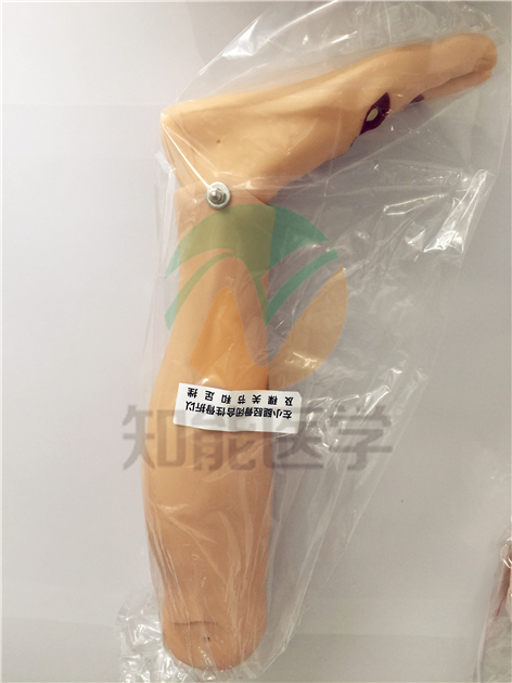 全功能創(chuàng)傷護(hù)理模擬人