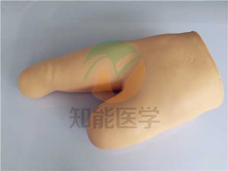 高級低位包扎模型實拍圖 高級低位包扎模型實拍圖