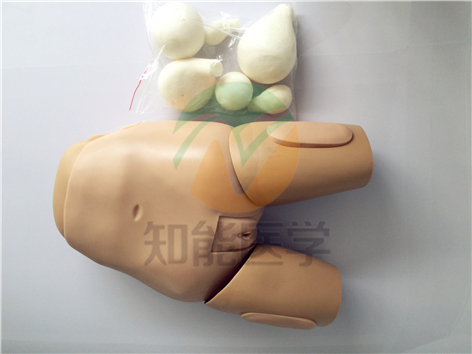 高級(jí)子宮底檢查評(píng)定模型實(shí)拍圖 高級(jí)子宮底檢查評(píng)定模型實(shí)拍圖