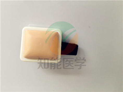 多功能肌肉注射模型實拍圖2 多功能肌肉注射模型實拍圖2