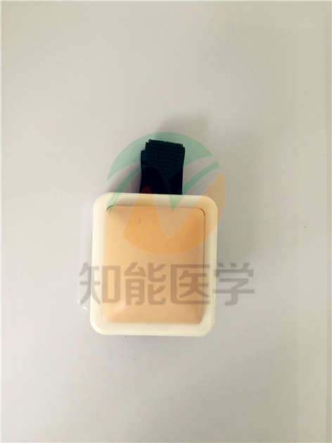 多功能肌肉注射模型實拍圖 多功能肌肉注射模型實拍圖