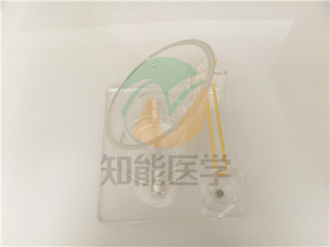 實拍圖2 實拍圖2