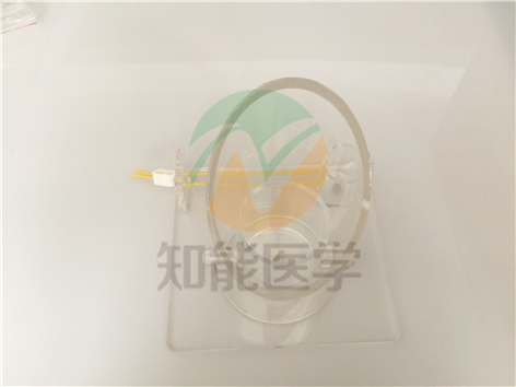 實拍圖1 實拍圖1