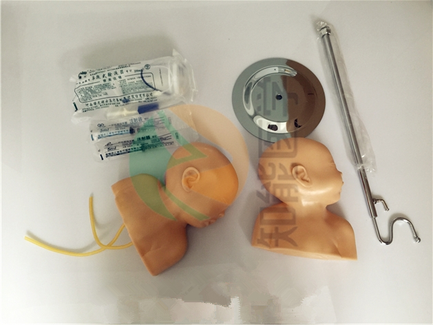 嬰兒頭部靜脈穿刺模型配套圖 嬰兒頭部靜脈穿刺模型配套圖