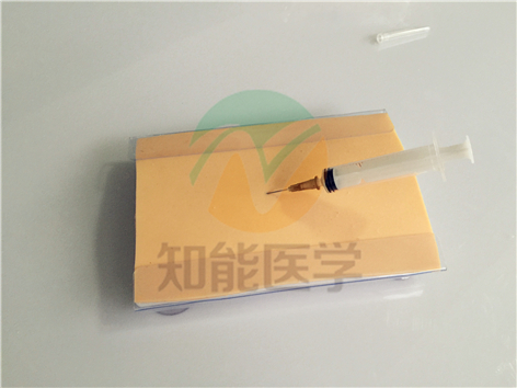 1494903562778759.jpg IMG_2903.jpg