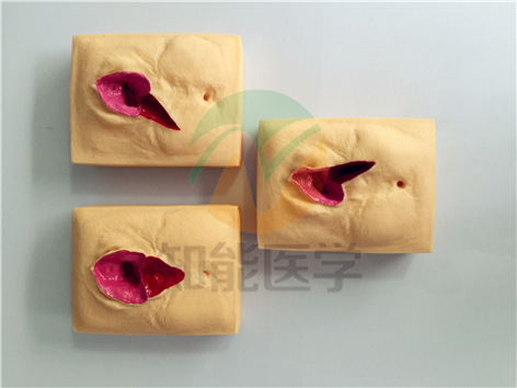 1494904528267271.jpg IMG_2911.jpg