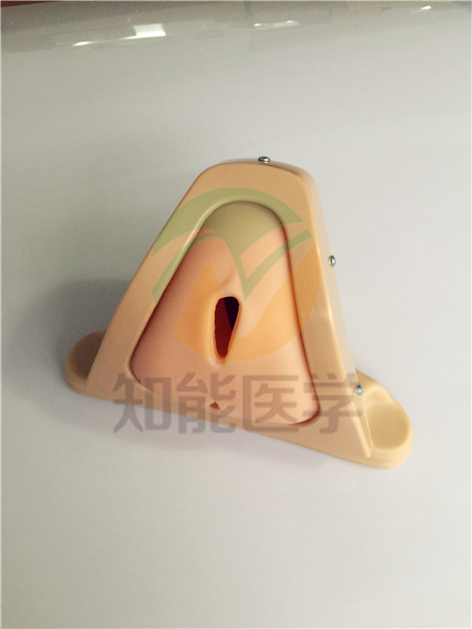 1494904910574219.jpg IMG_2918.jpg