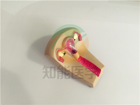 1494916883929710.jpg IMG_2941.jpg