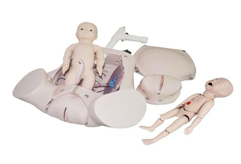 仿真人分娩模型在分娩期護理考核作用