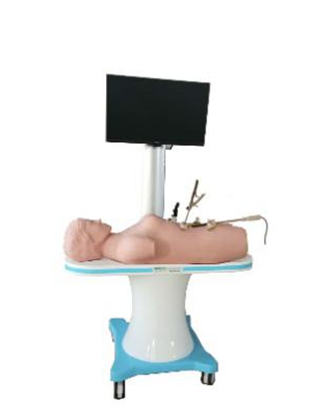 知能醫(yī)學腹腔鏡手術技能訓練人體模型 知能醫(yī)學腹腔鏡手術技能訓練人體模型