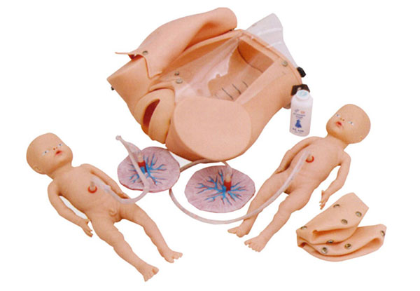 醫(yī)學(xué)教學(xué)模型制造有限公司哪家好？