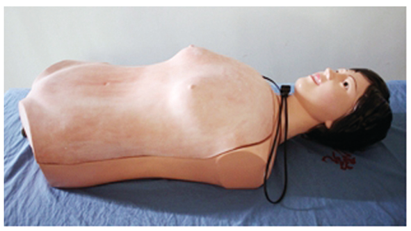 知能醫(yī)學(xué)模型肝脾觸診電動(dòng)模型 BIX-A2113 知能醫(yī)學(xué)模型肝脾觸診電動(dòng)模型 BIX-A2113