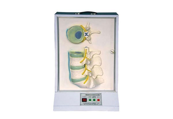 腰骶椎、椎間盤和脊神經(jīng)電動(dòng)模型產(chǎn)品功能測(cè)試報(bào)告