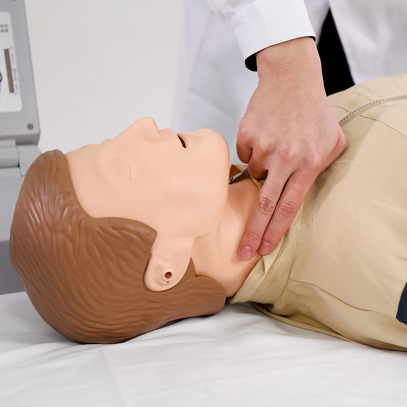 心肺復(fù)蘇模擬人 心肺復(fù)蘇模擬人