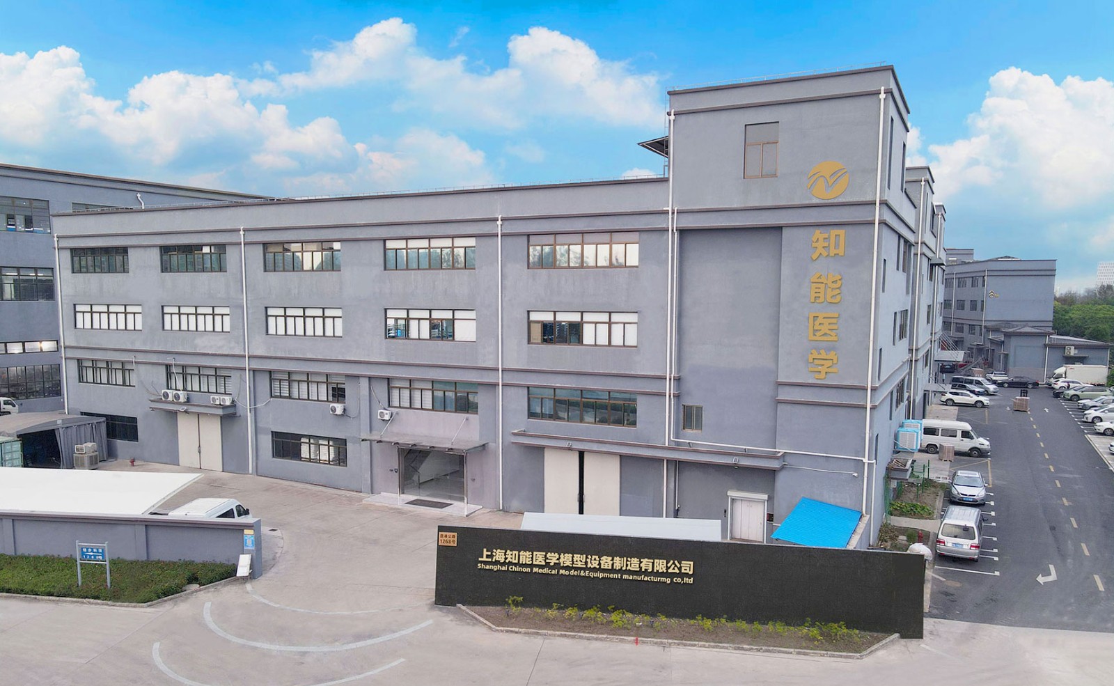 人體醫(yī)學(xué)模型廠家 人體醫(yī)學(xué)模型廠家