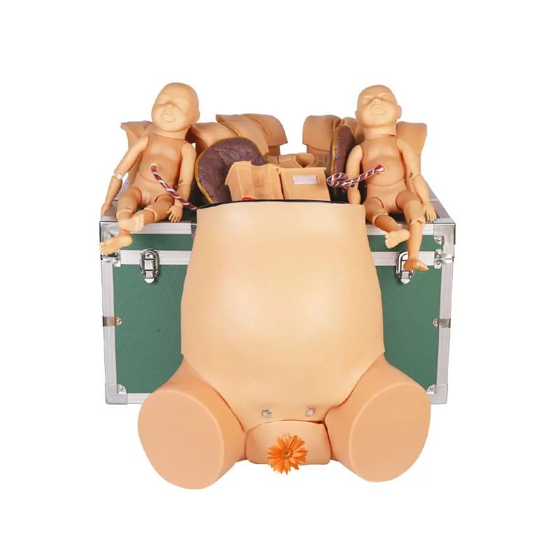 婦產(chǎn)科護(hù)理模擬人 婦產(chǎn)科護(hù)理模擬人