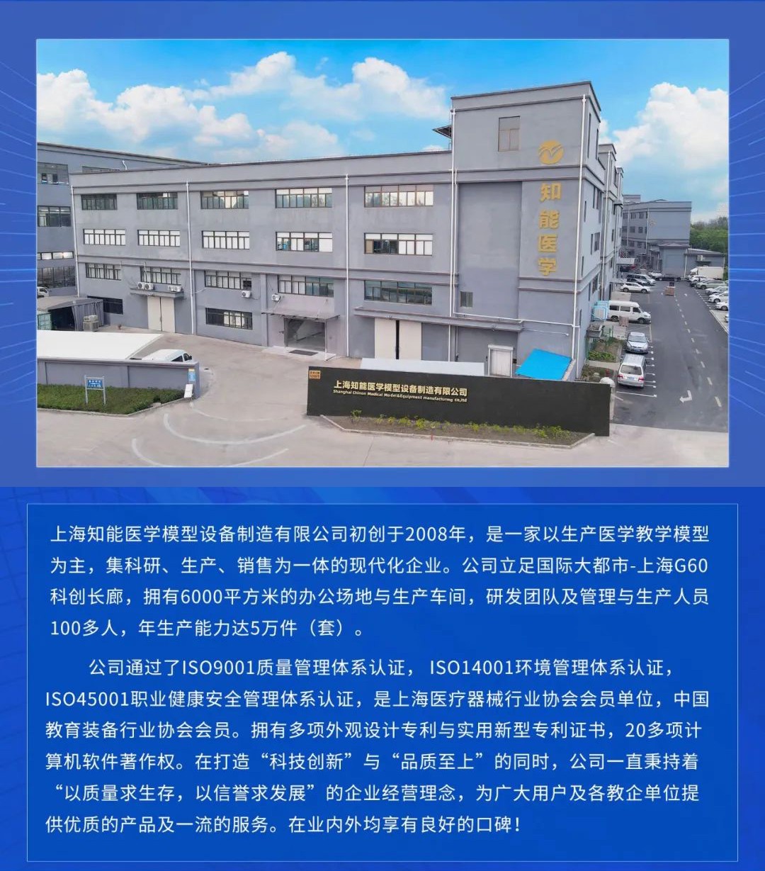 心肺復蘇模擬人 心肺復蘇模擬人