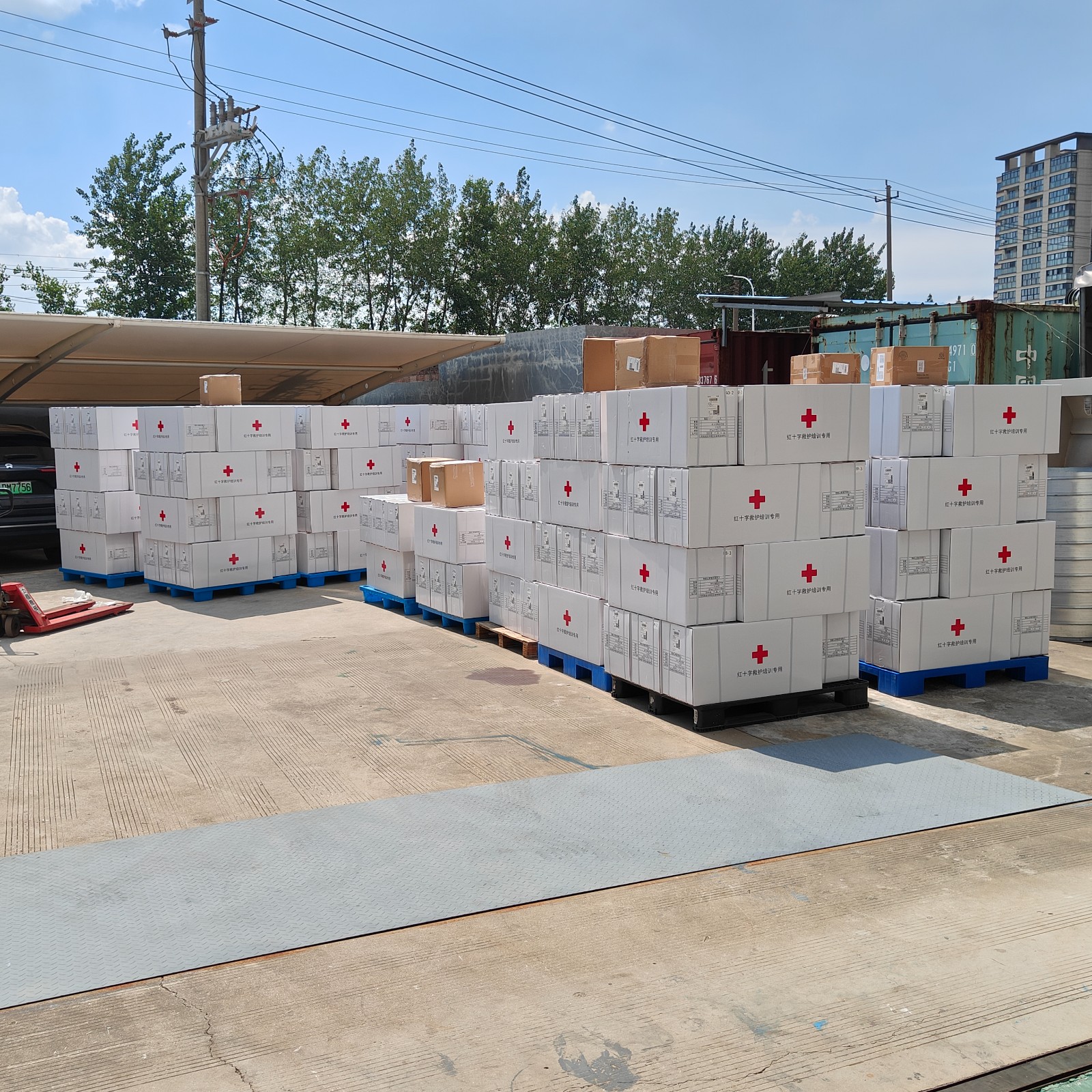 紅十字會救護培訓模型