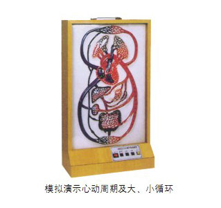 大、小循環(huán)電動模型