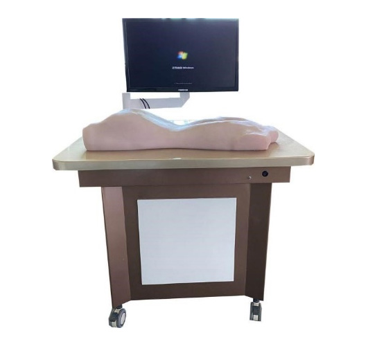 中醫(yī)拔罐、刮痧、推拿練習(xí)模型(BIX-BGTMX)