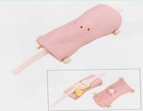 膝關(guān)節(jié)鏡檢查模型